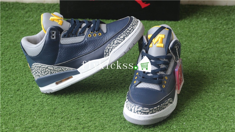 Authentic Air Jordan 3 Retro MICHIGAN PE